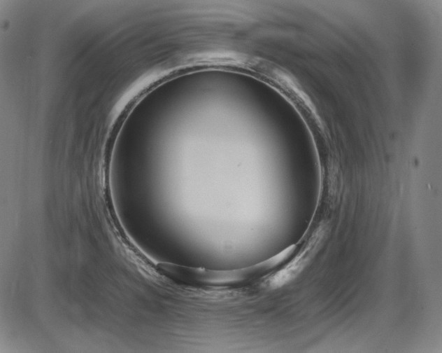 X0000086281328200703291451