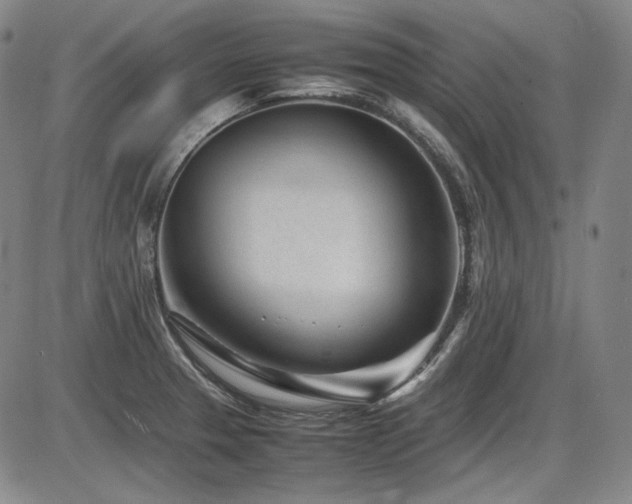 X0000086281329200703291451