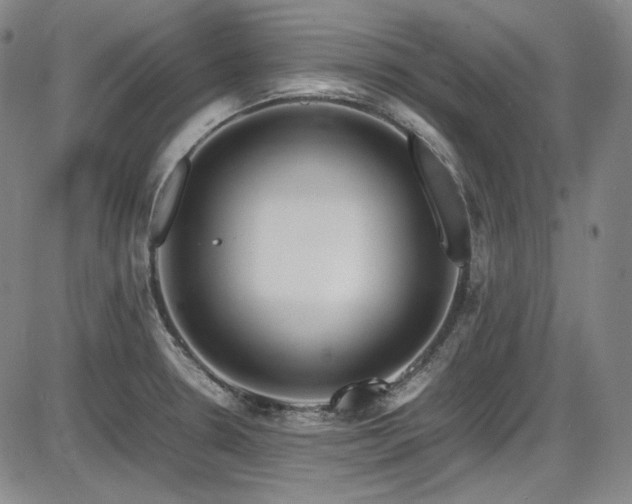 X0000086281330200703291451
