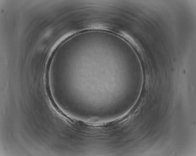 X0000086281331200703291451