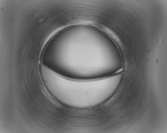 X0000086281332200703291451