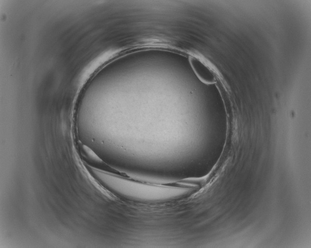 X0000086281333200703291451