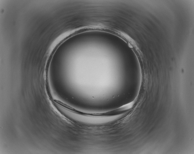 X0000086281335200703291451
