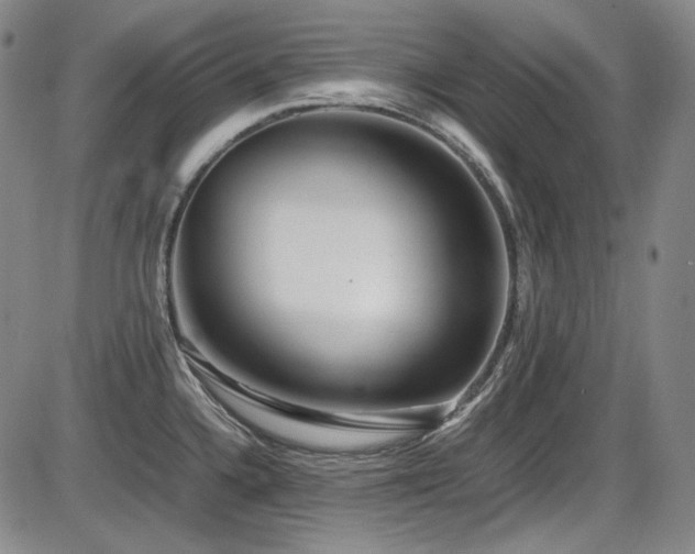 X0000086281336200703291451