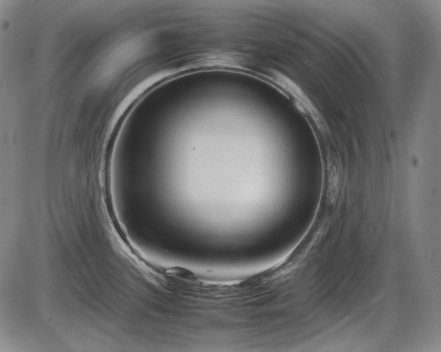 X0000086281339200703291451