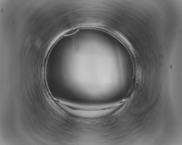 X0000086281340200703291451