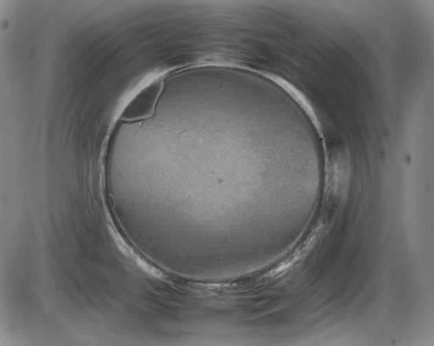 X0000086281341200703291451