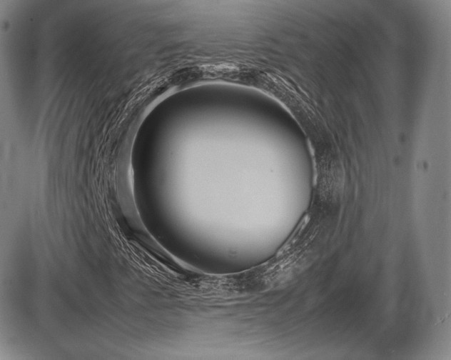 X0000086281345200703291451