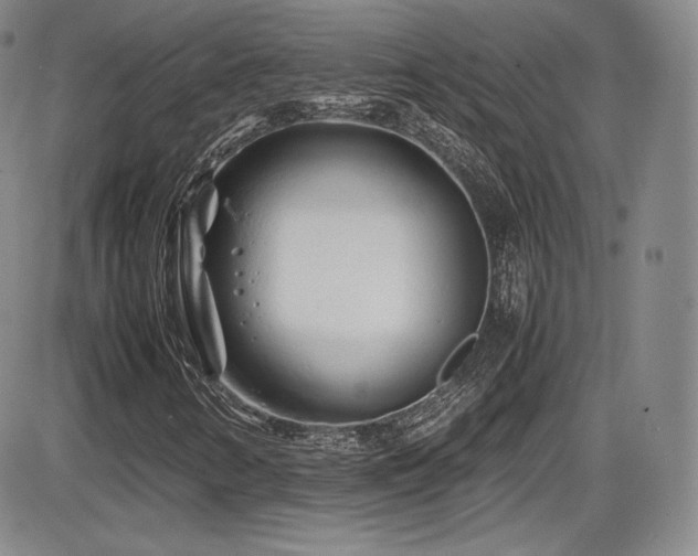 X0000086281346200703291451