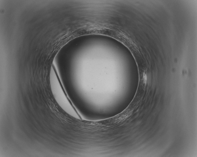 X0000086281348200703291451