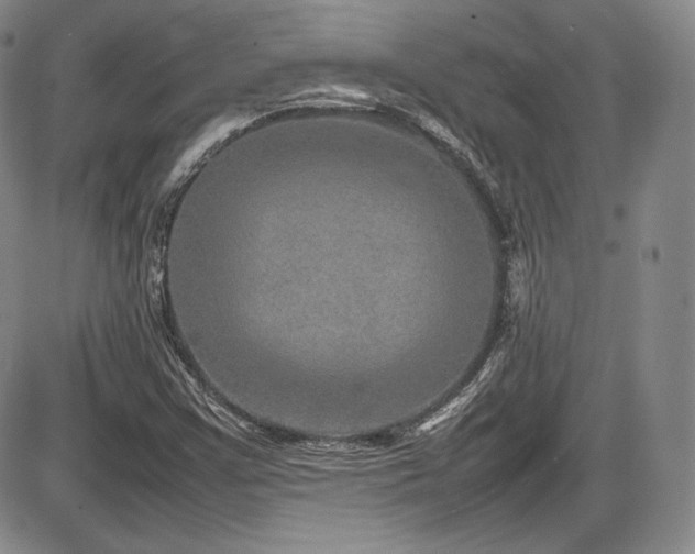 X0000086281355200703291450