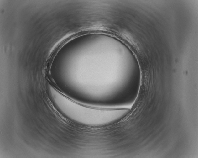 X0000086281356200703291450