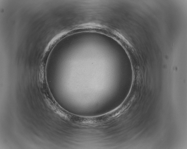 X0000086281358200703291450