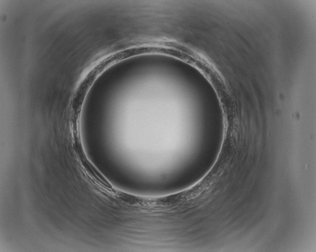 X0000086281360200703291450