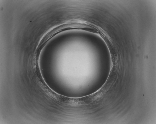 X0000086281364200703291450