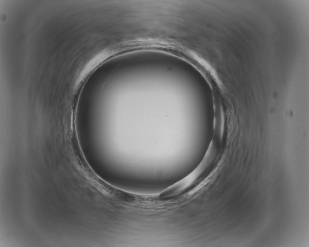 X0000086281365200703291450