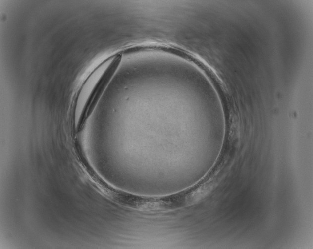 X0000086281367200703291450