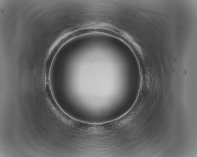 X0000086281368200703291450