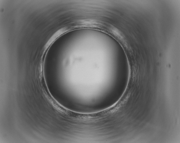 X0000086281370200703291450