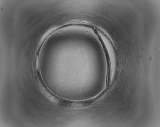 X0000086281371200703291450