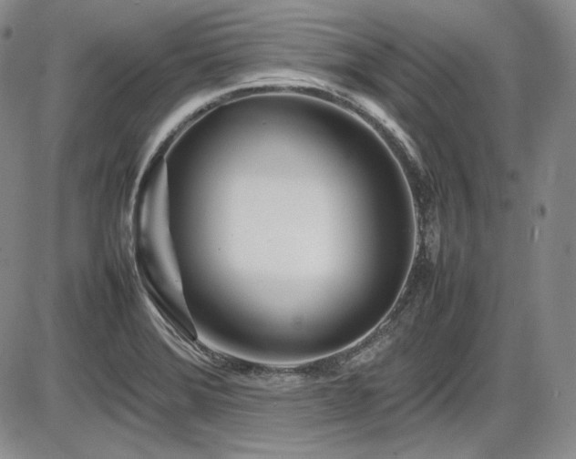 X0000086281372200703291450