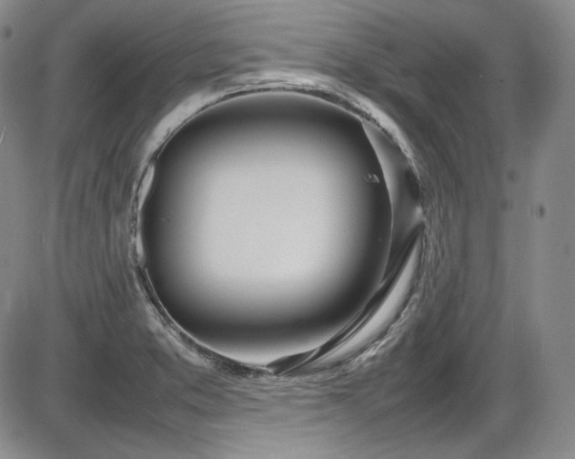 X0000086281373200703291450