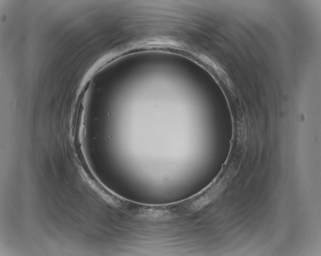 X0000086281374200703291450