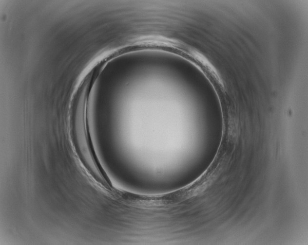 X0000086281376200703291450