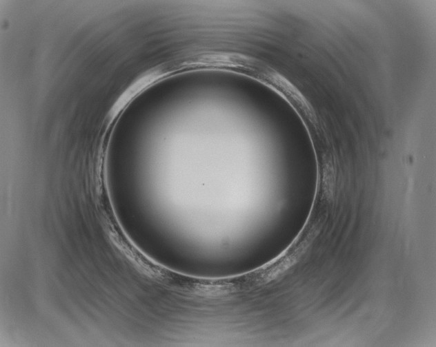 X0000086281378200703291450