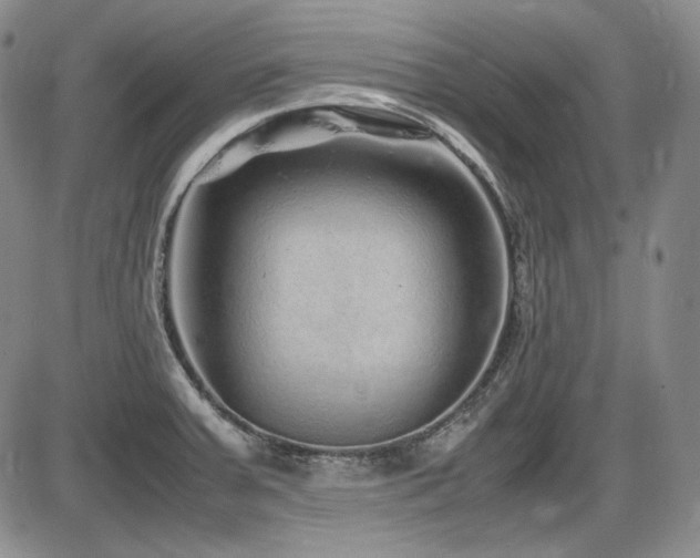 X0000086281379200703291450