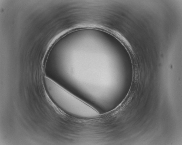 X0000086281380200703291450