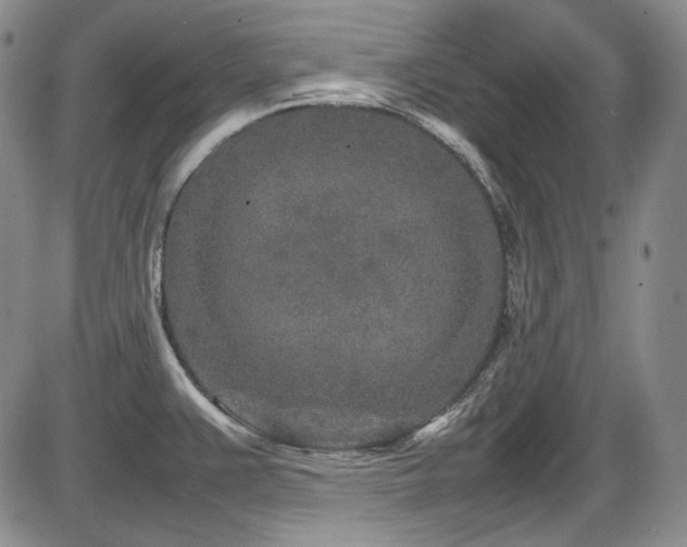 X0000086281383200703291450