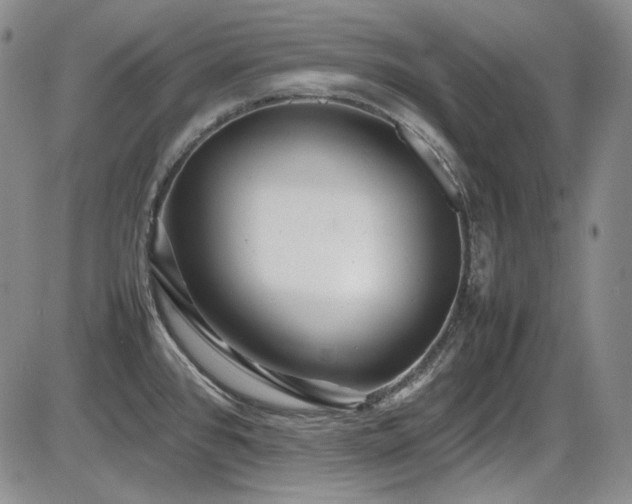 X0000086281384200703291450