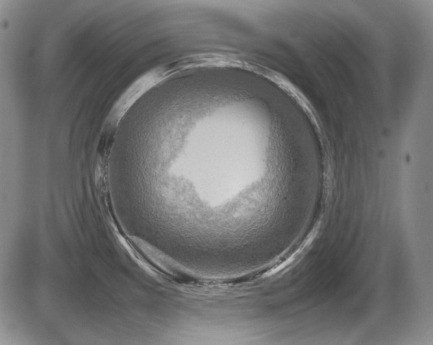 X0000086281385200703291450