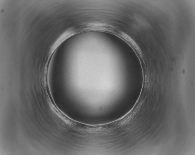 X0000086281386200703291450