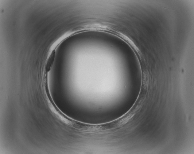 X0000086281387200703291450