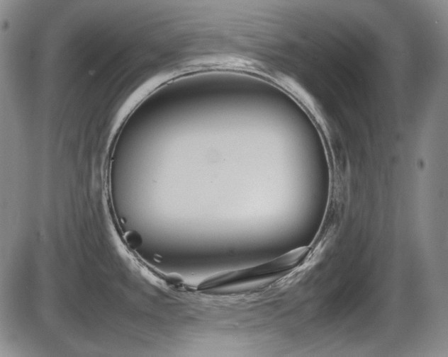 X0000086281389200703291450