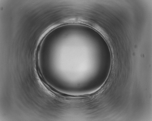 X0000086281392200703291450