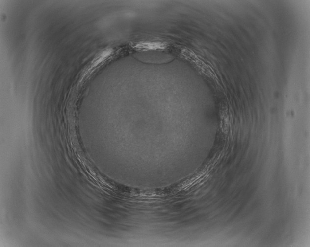 X0000086281393200703291449