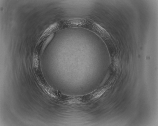 X0000086281394200703291449