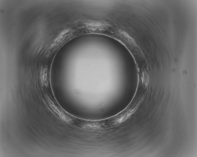 X0000086281396200703291449