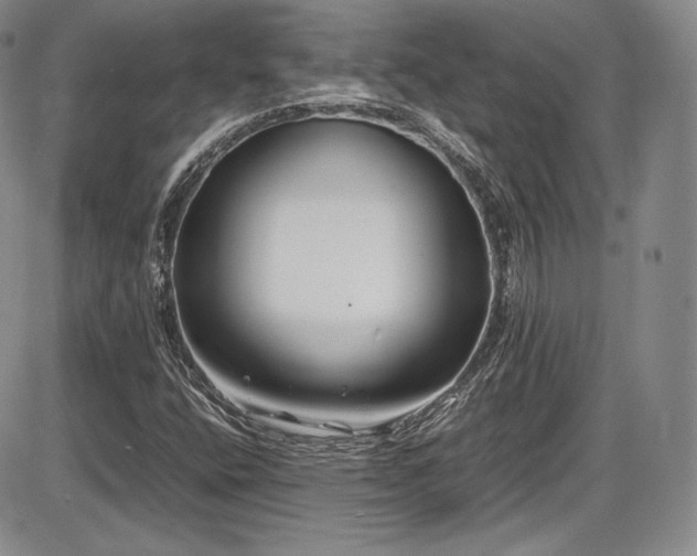 X0000086281400200703291449