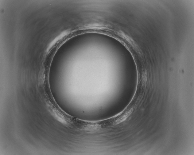 X0000086281406200703291449