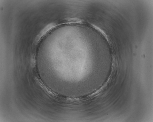 X0000086281407200703291449