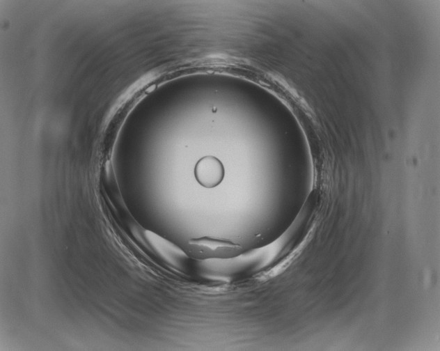X0000086281410200703291449