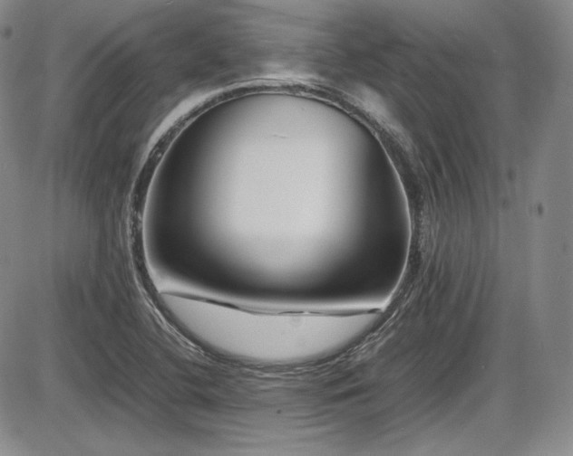 X0000086281412200703291449