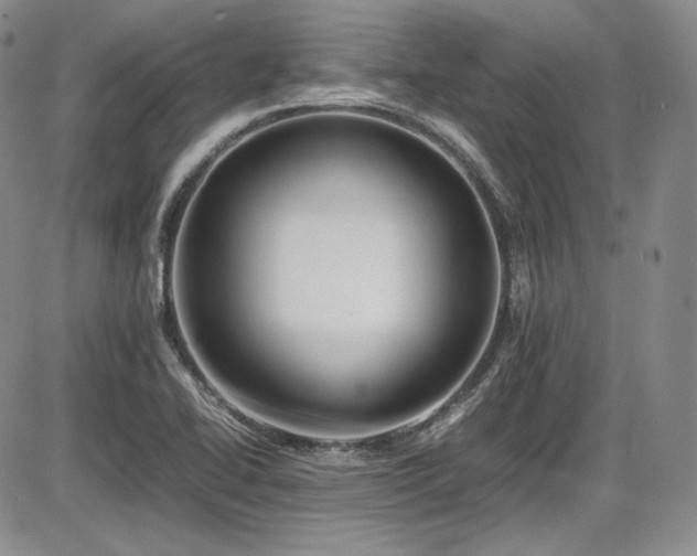 X0000086281414200703291449
