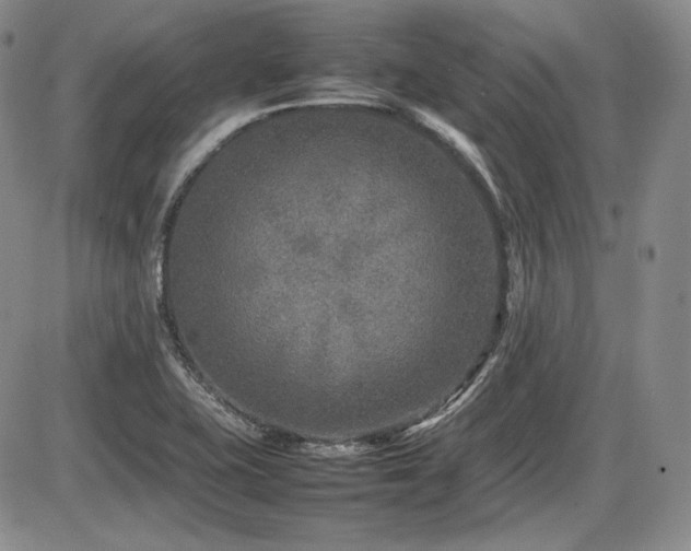 X0000086281415200703291449