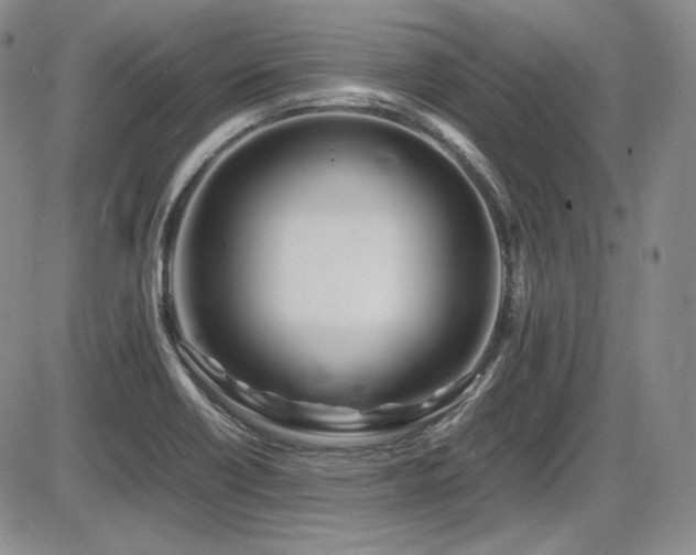 X0000086281418200703291449
