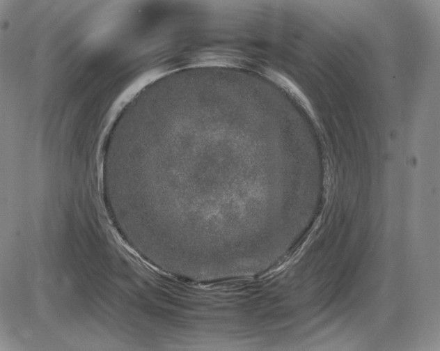 X0000086281419200703291449